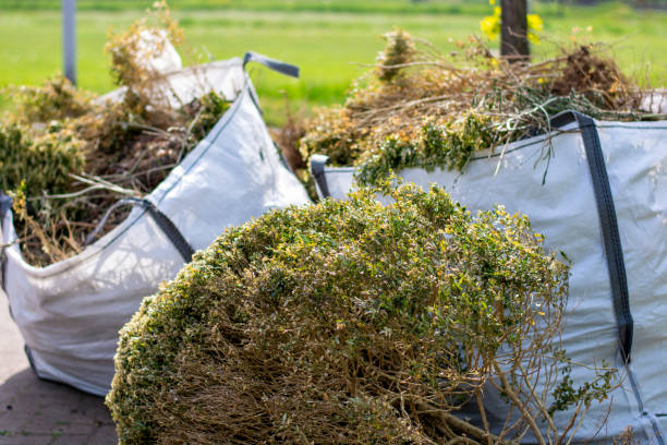 Property Management Cleanouts in Dagsboro, DE